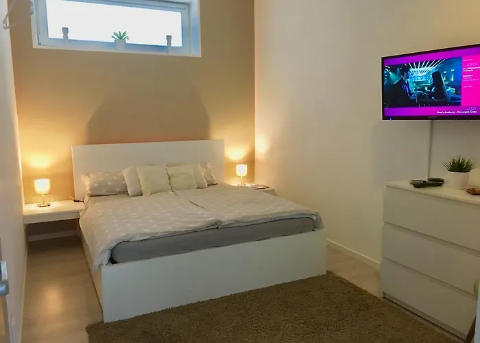 Tiny Live-in Am Main * Wertheim